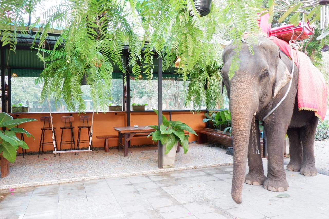 Accommodatie bij particulieren The Park And Phra Nakhon Si Ayutthaya