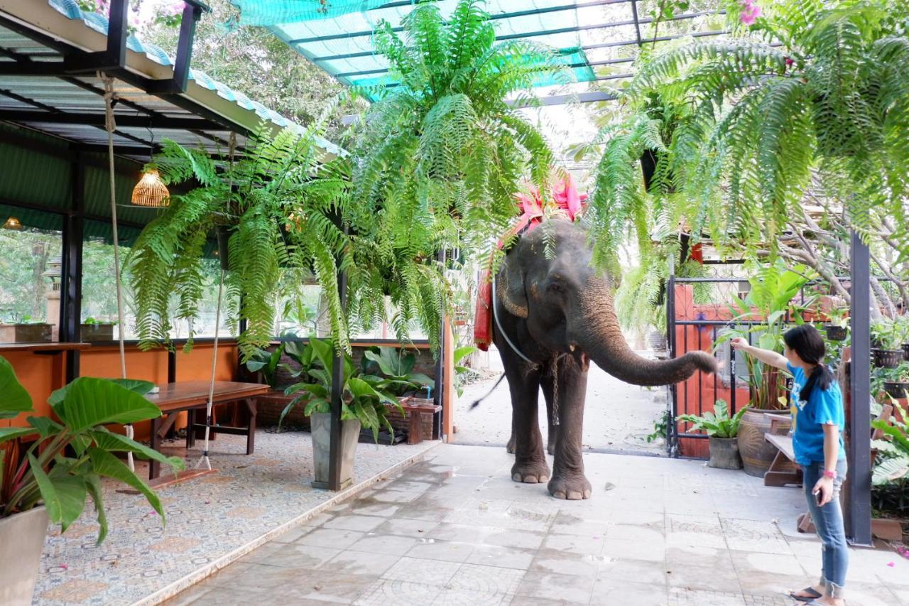 The Park And Ayutthaya