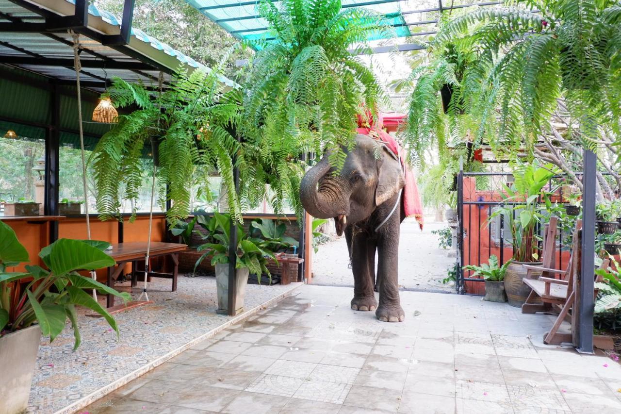 Accommodatie bij particulieren The Park And