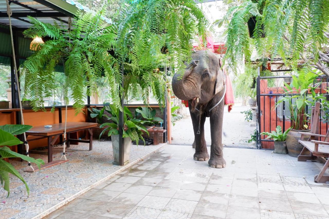 Accommodatie bij particulieren The Park And